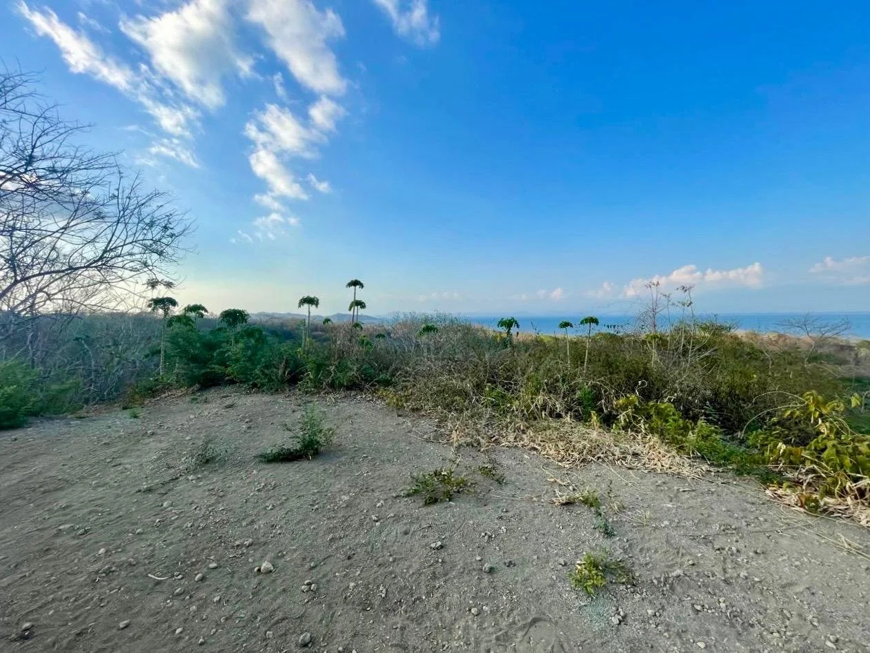 Casa Catalina Ocean View lot.jpeg