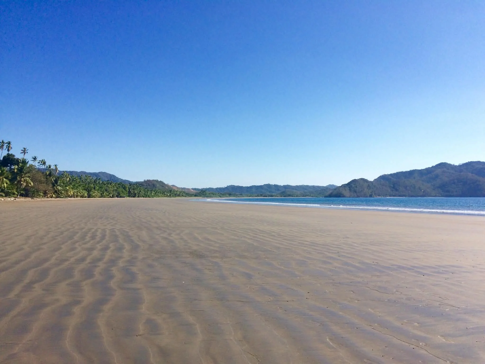 Photo by Paul Gardner