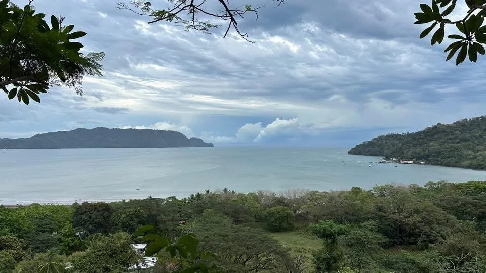 Photo by Paul Gardner