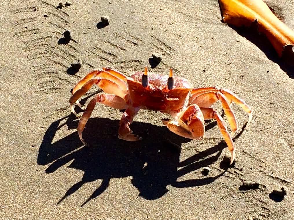 Photo by Paul Gardner