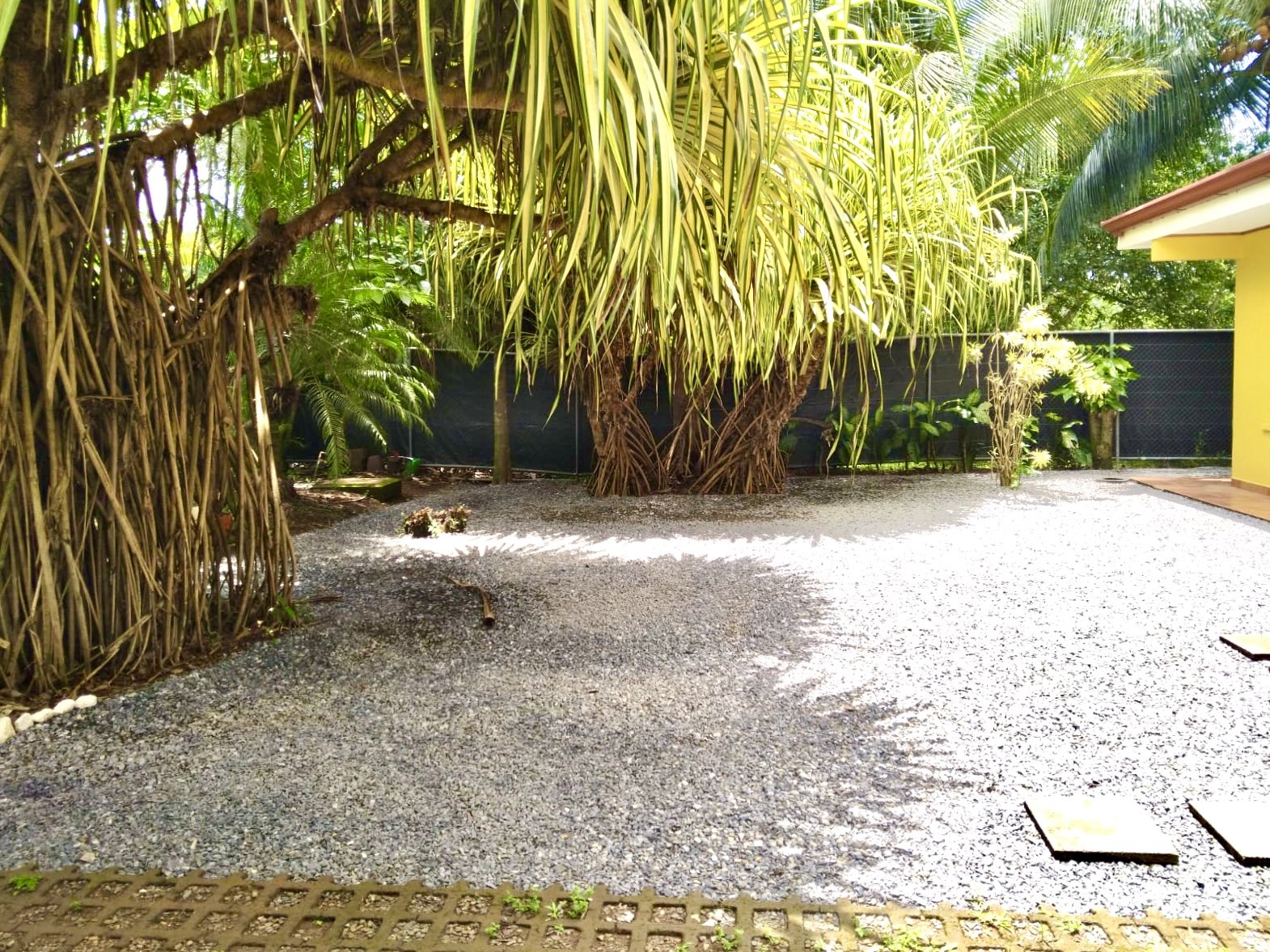 Private tropical garden with mature palm trees and gravel landscaping at Casa Palma Bonita