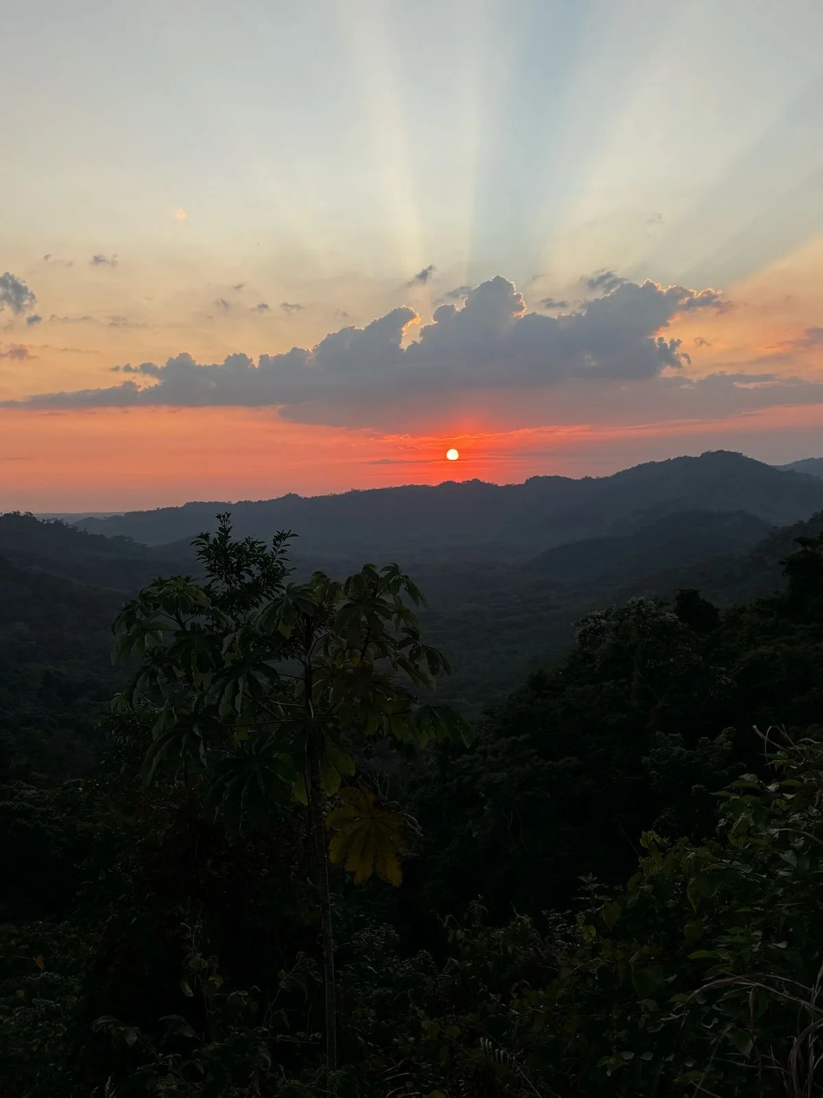 Photo by Nina Dormond