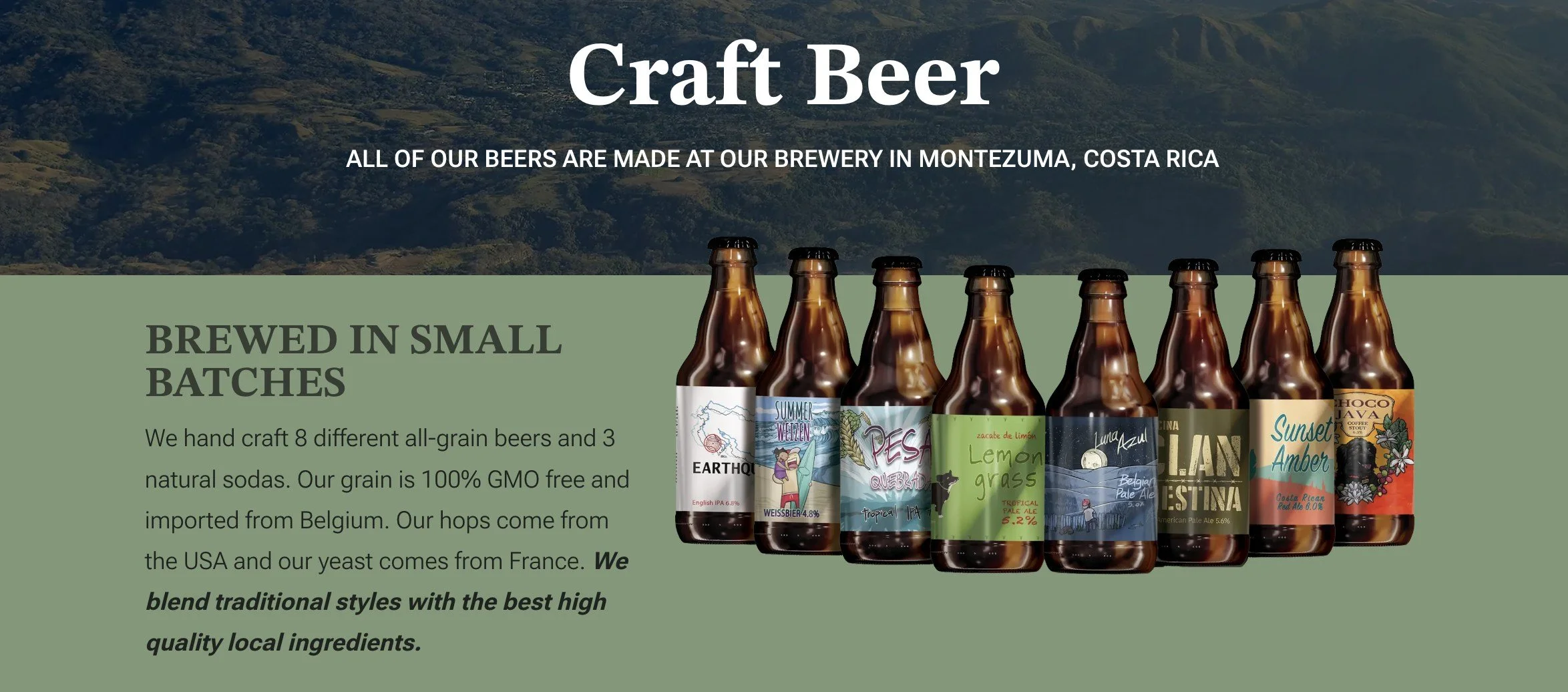 BBbeerinfo.jpg