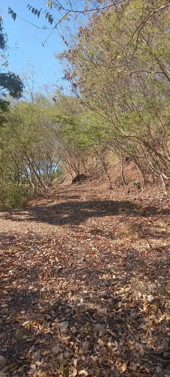 719852590_2230798927750611_3736161123780762405_n.jpg