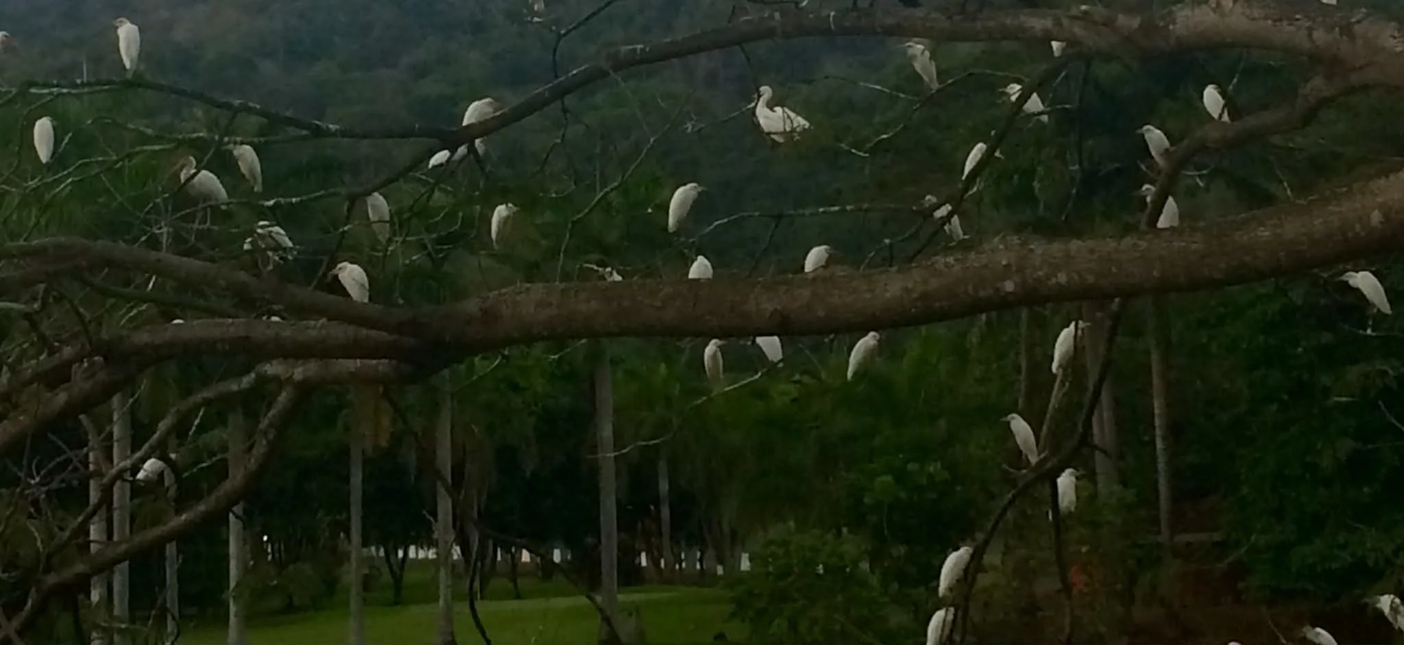 Photo by Paul Gardner