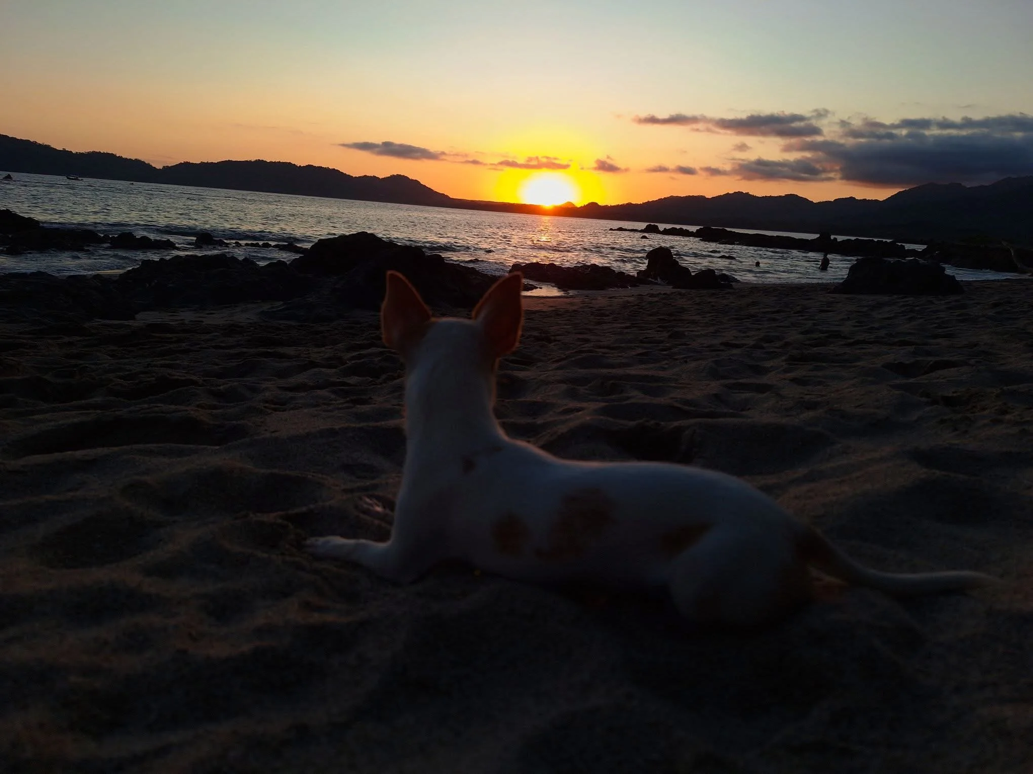 Photo by Daniela Dormond Quiel