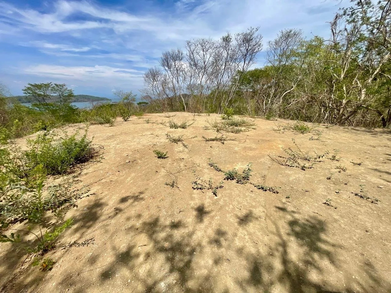 Oceanview plateau