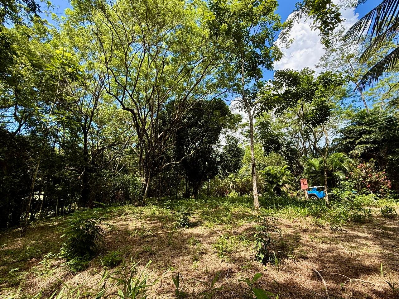 Suenos Gabriella lot 7.jpeg