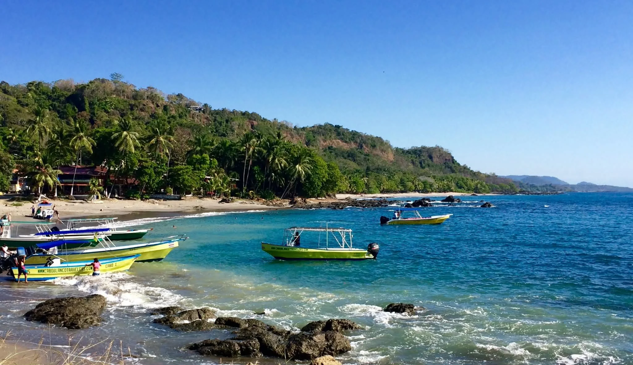 Photo by Paul Gardner