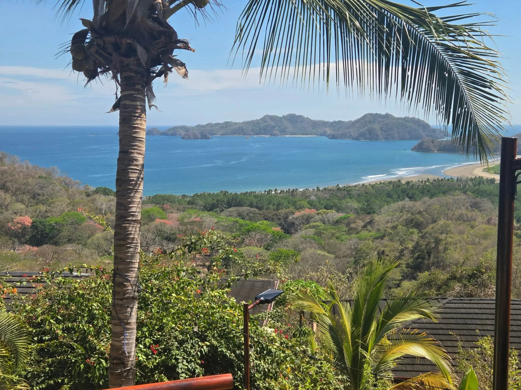 Photo by Patti Comeau