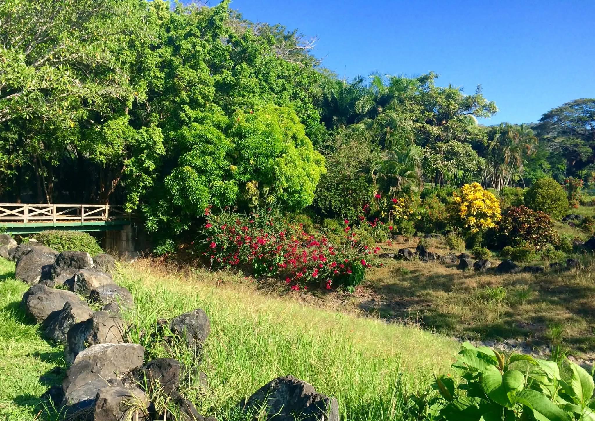 Photo by Paul Gardner