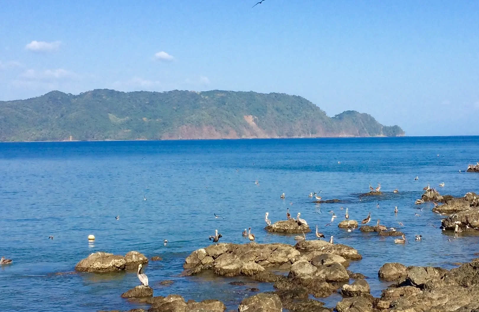 Photo by Paul Gardner