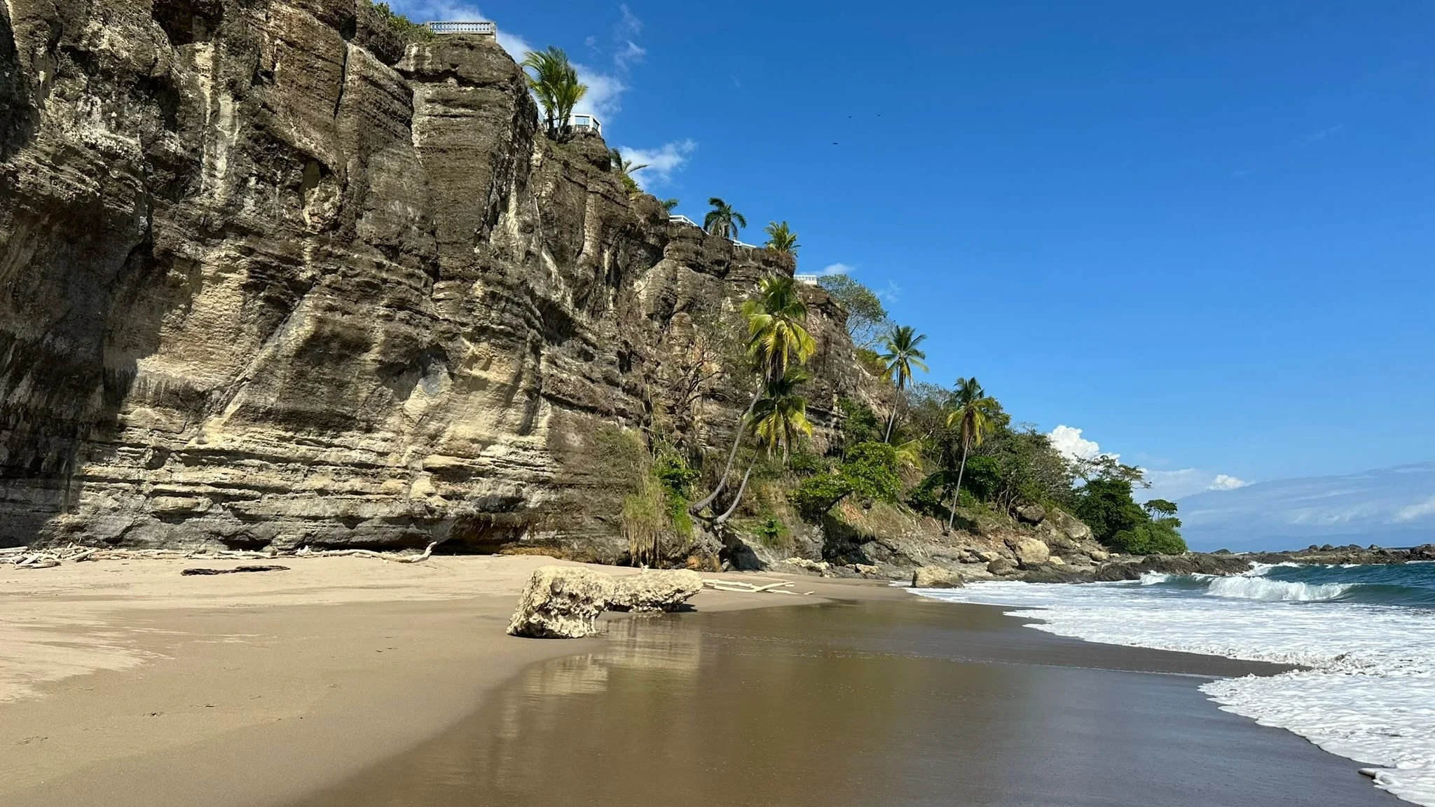 Photo by Patti Comeau