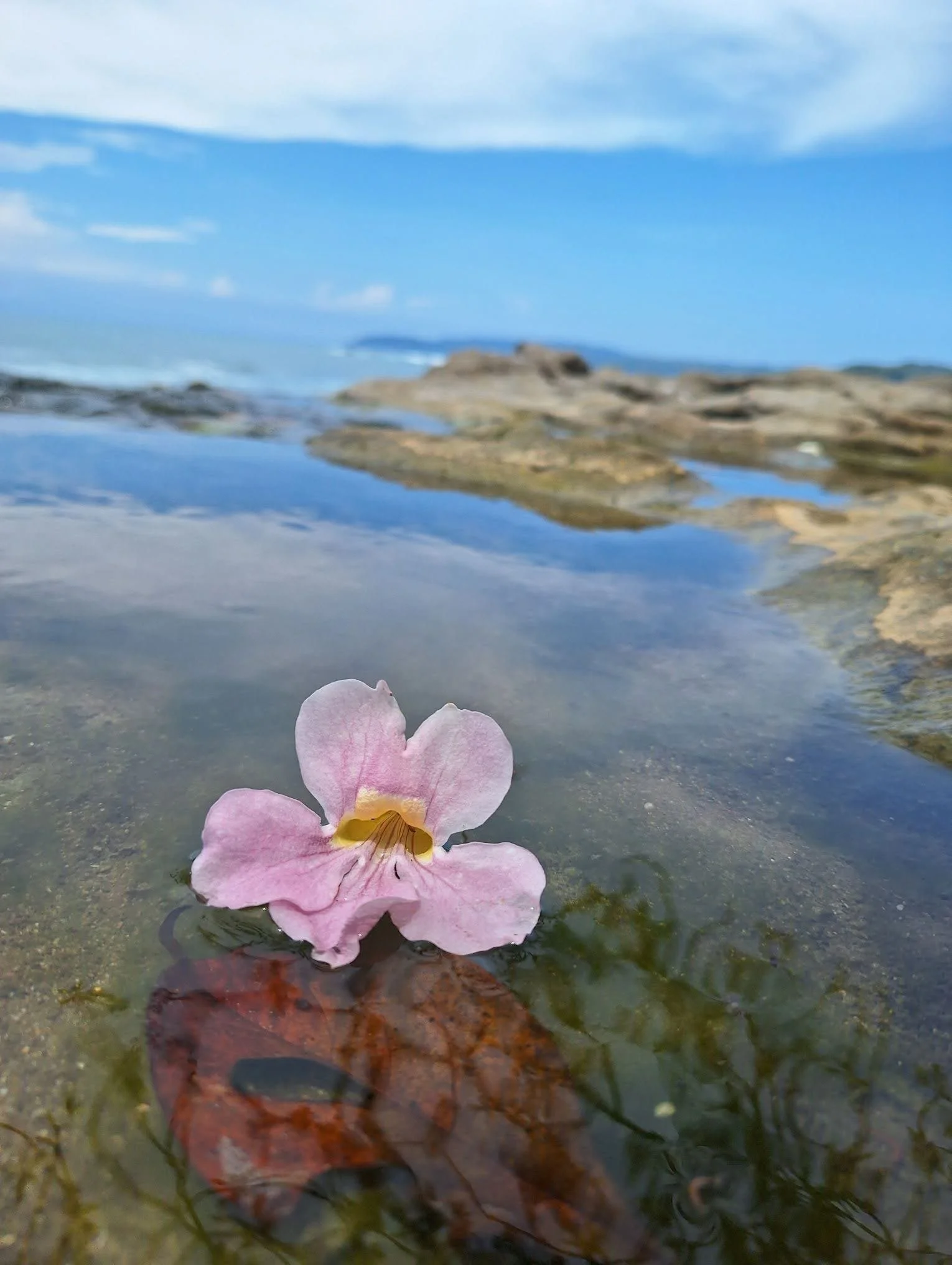 Photo by Daniela Dormond Quiel