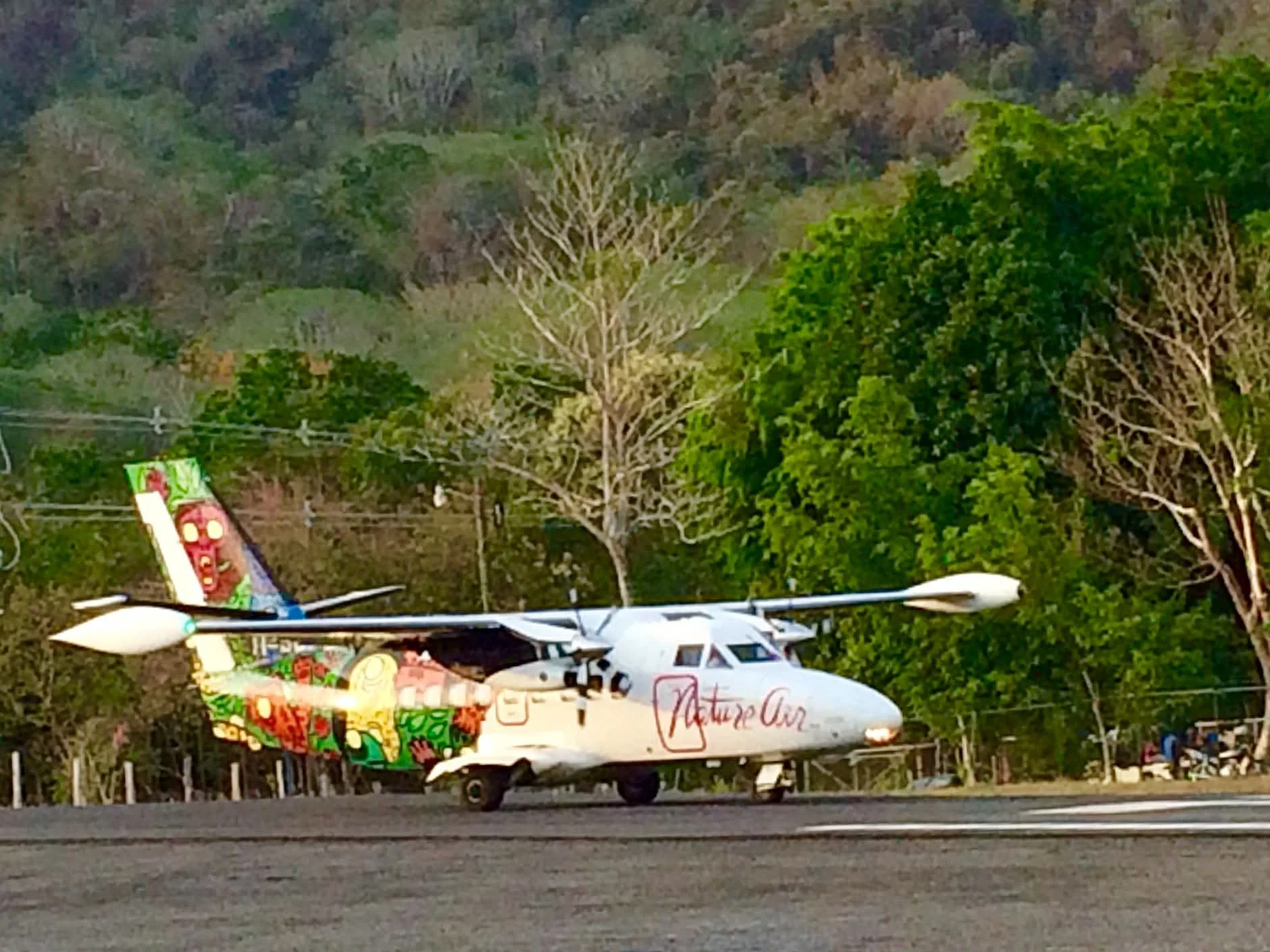 Photo by Paul Gardner