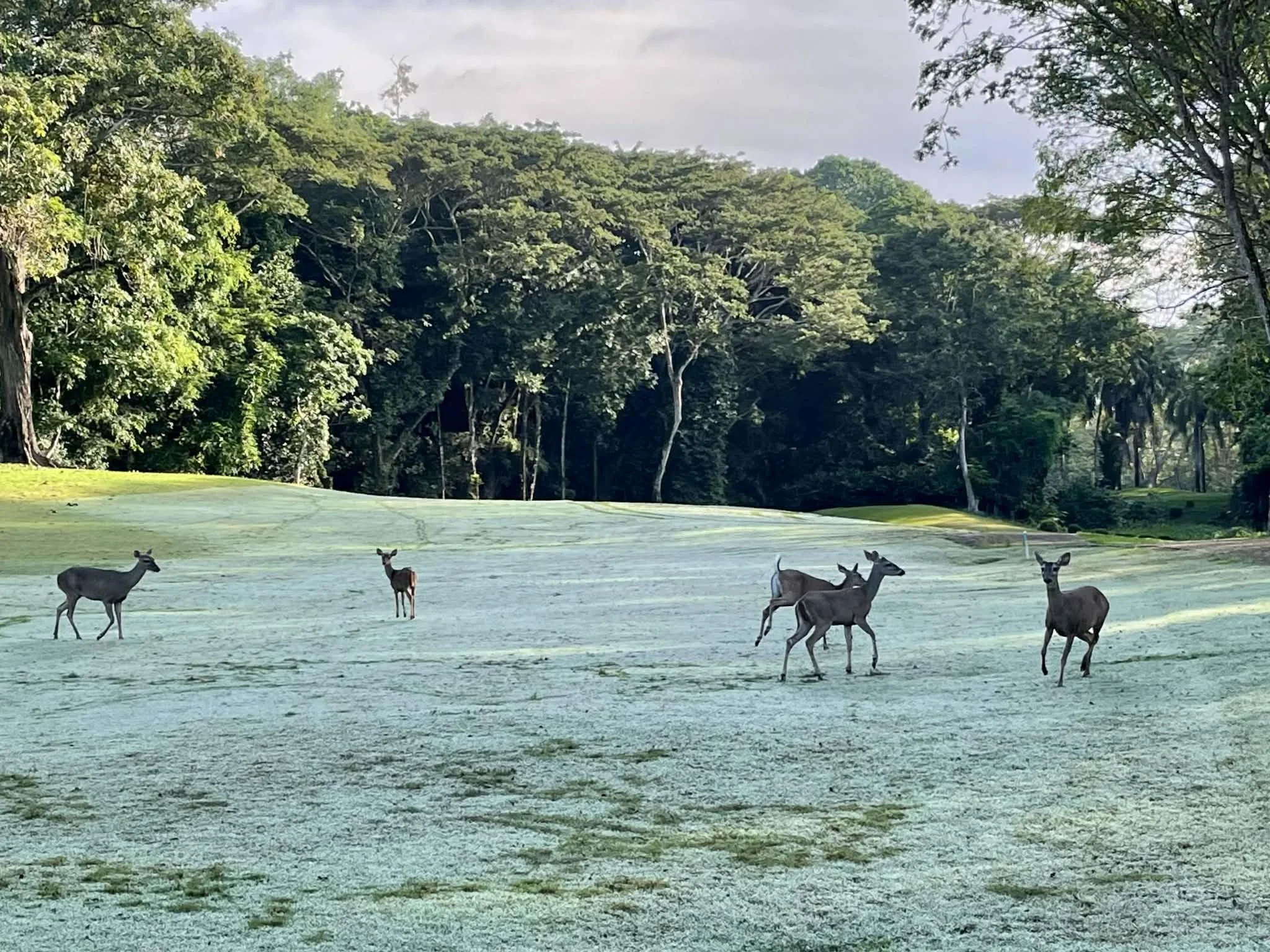 Photo by Paul Gardner