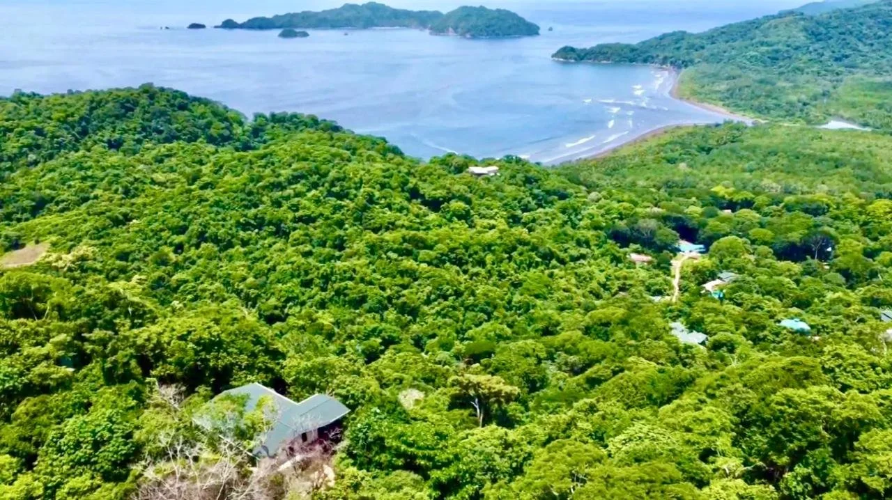 Bodo 1 Ocean view 2.jpg