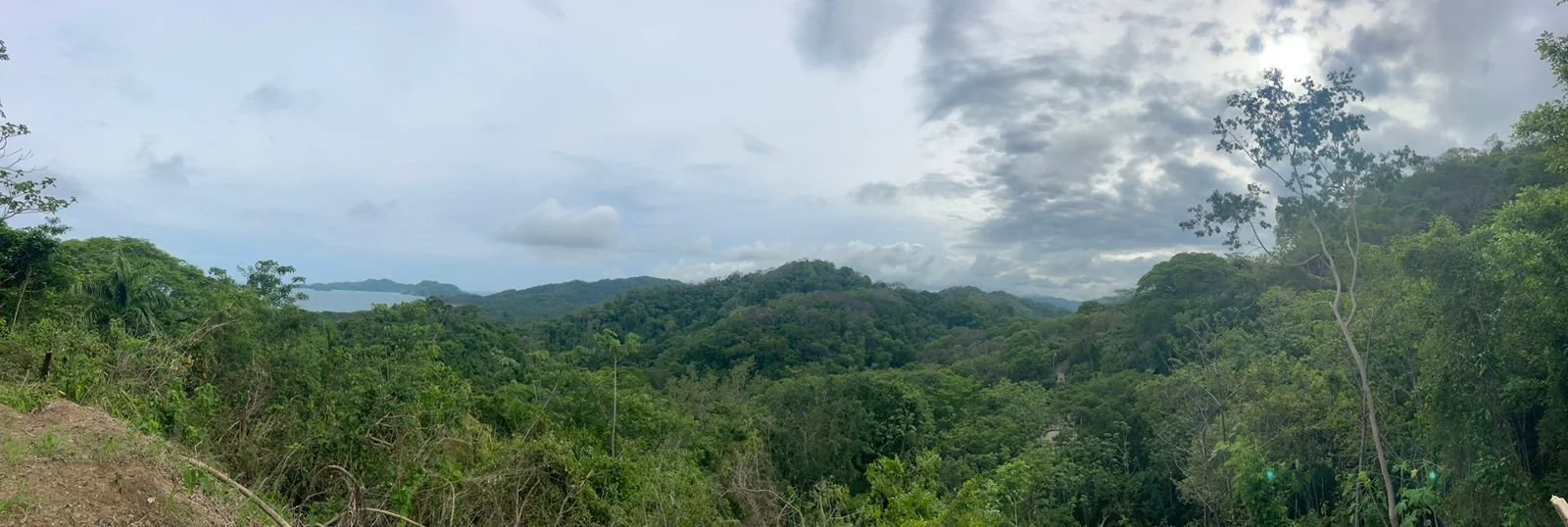 property view 2.jpeg