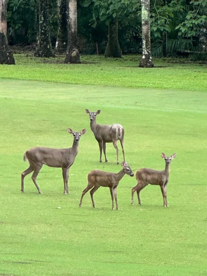 Photo by Lucie Kremer