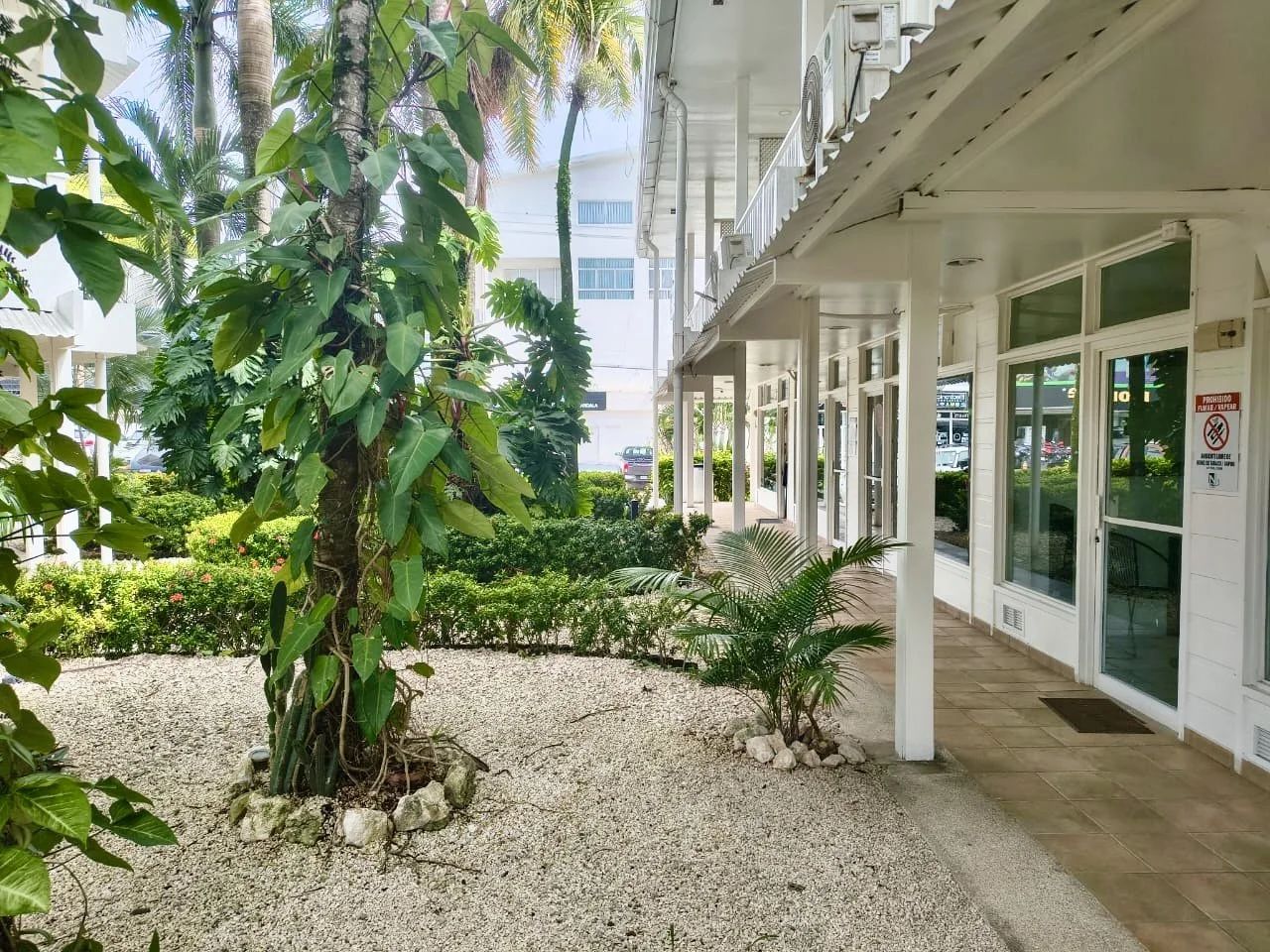 Landscaped walkway and commercial storefronts in Playa Carmen, Santa Teresa