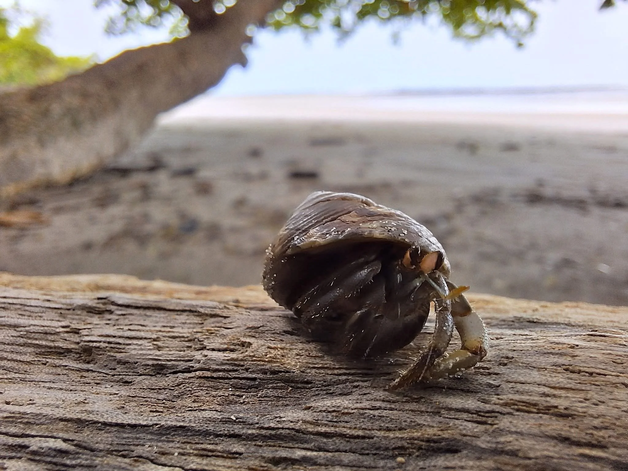 Photo by Daniela Dormond Quiel