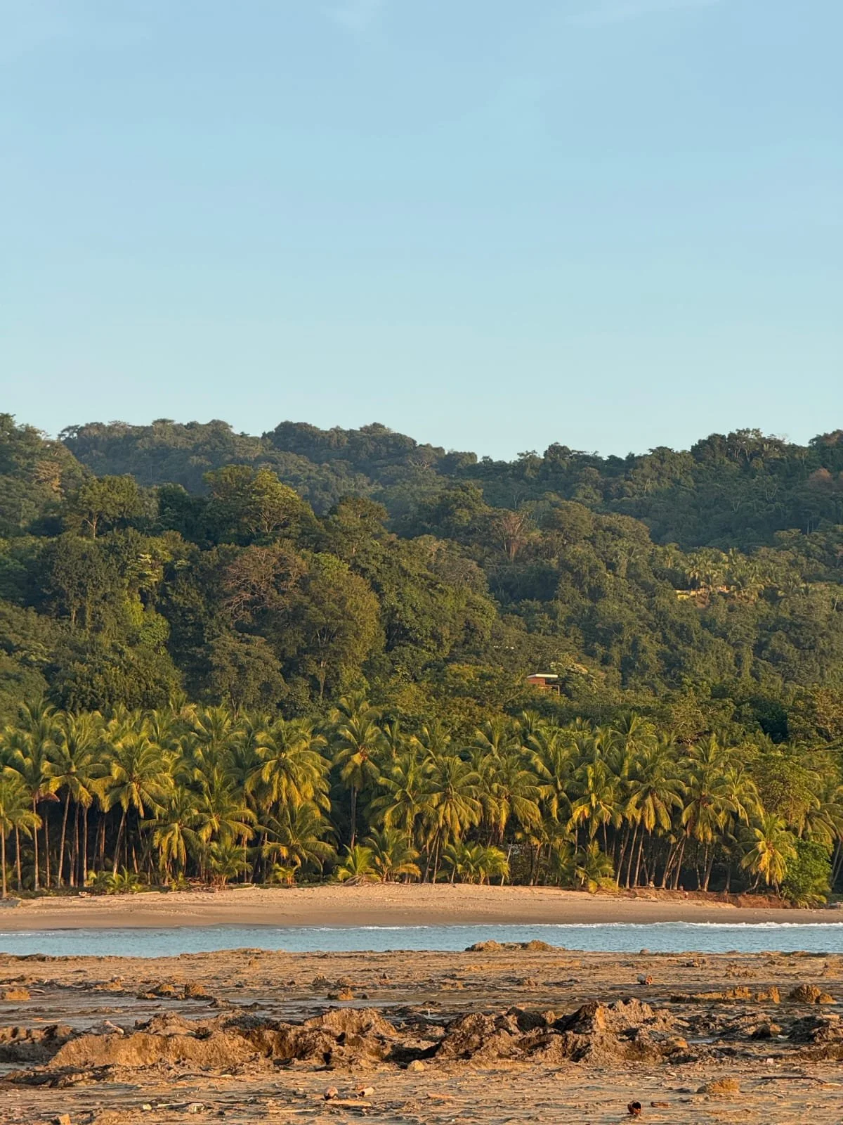 Photo by Nina Dormond