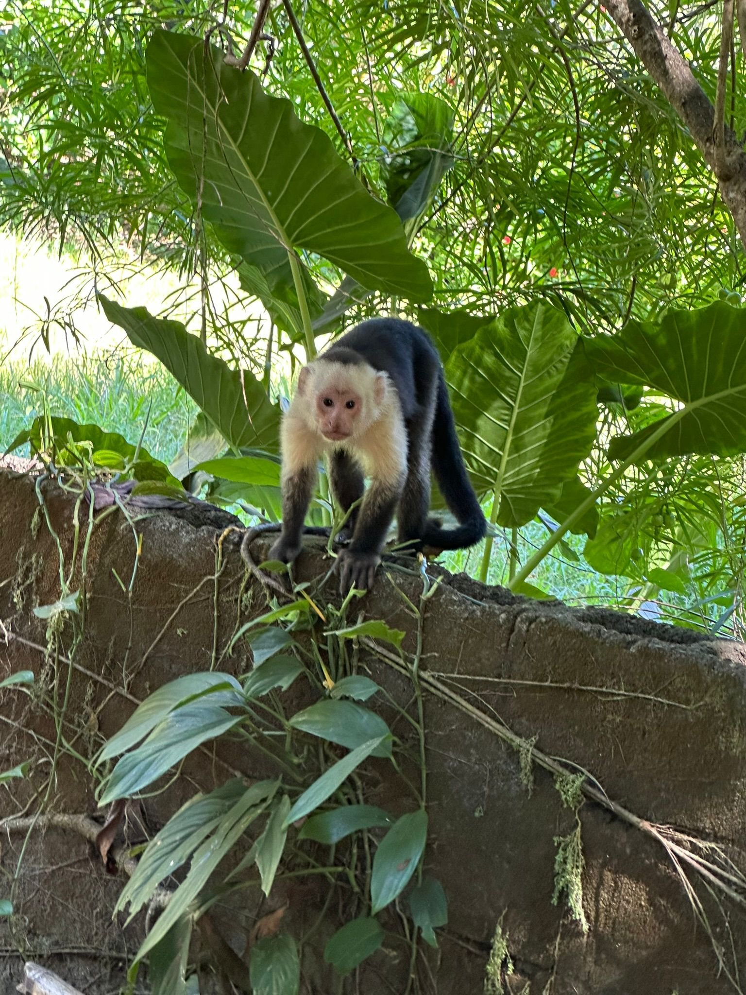 Photo by Patti Comeau