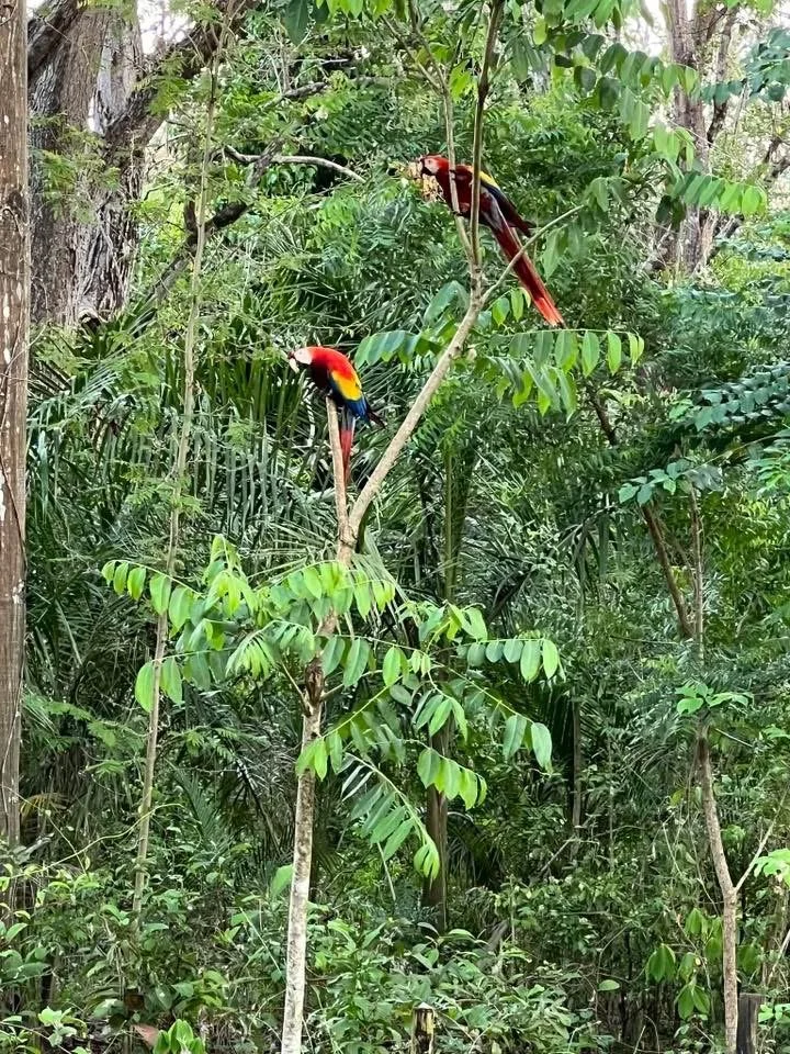 Photo by Don & Annette Soucie