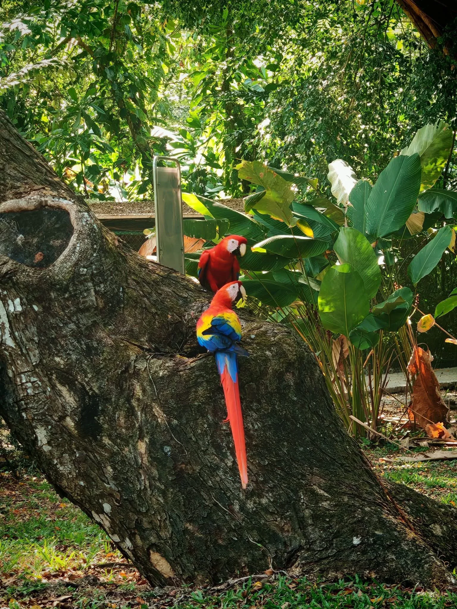 Photo by Steph Valerio