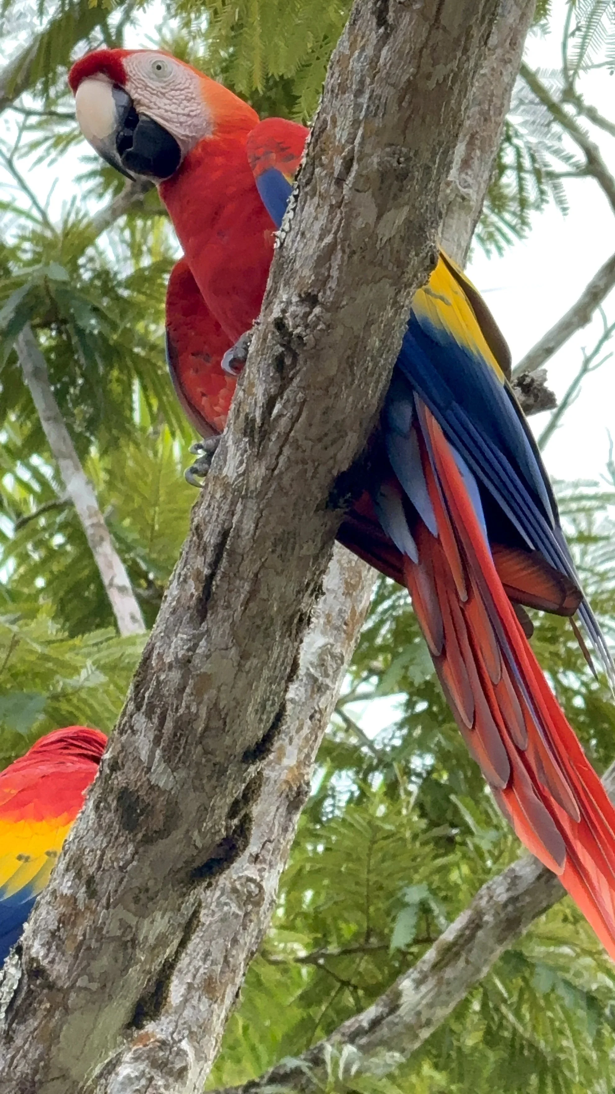 Photo by Grace Dimartino