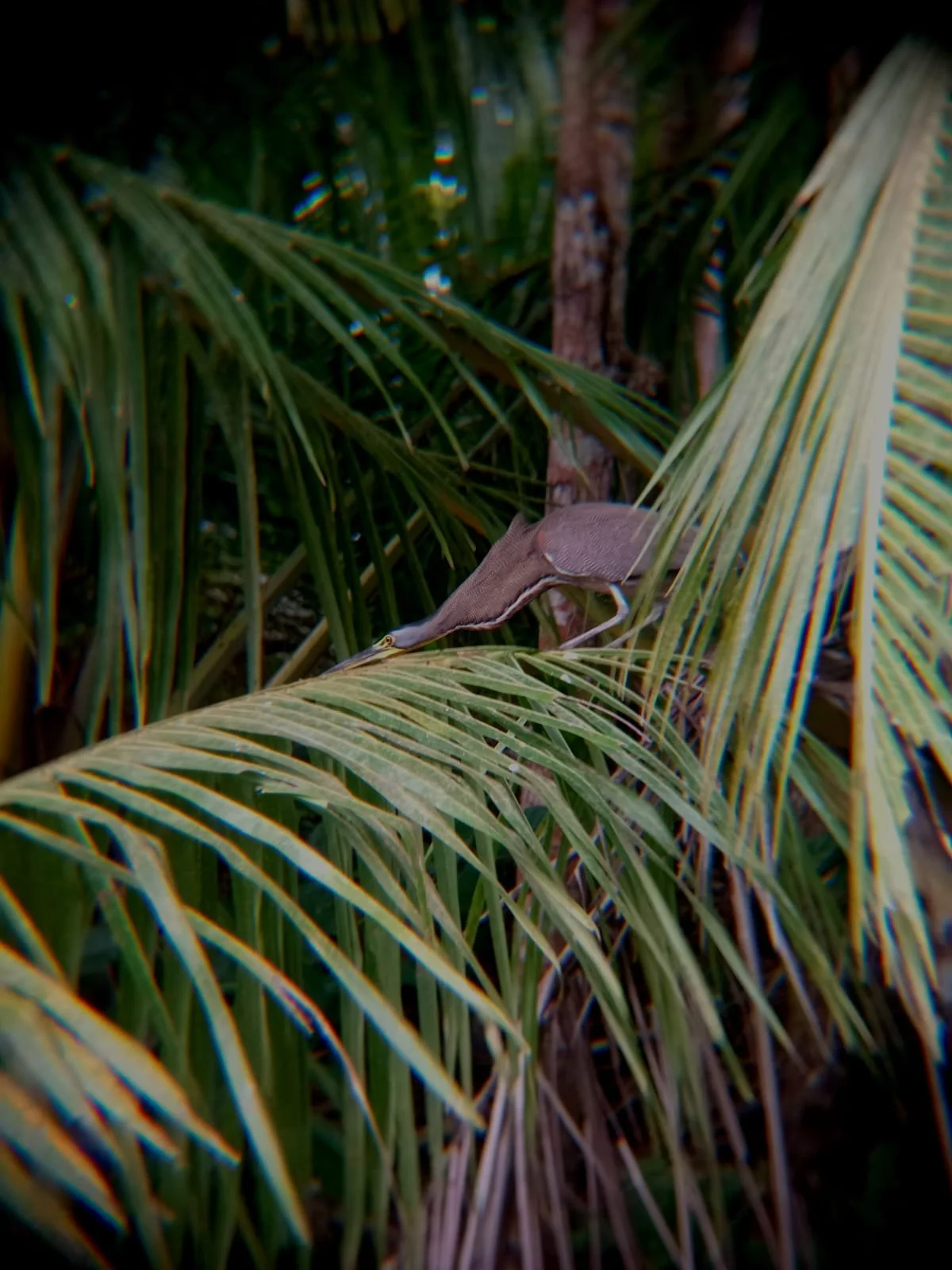 Photo by Nina Dormond