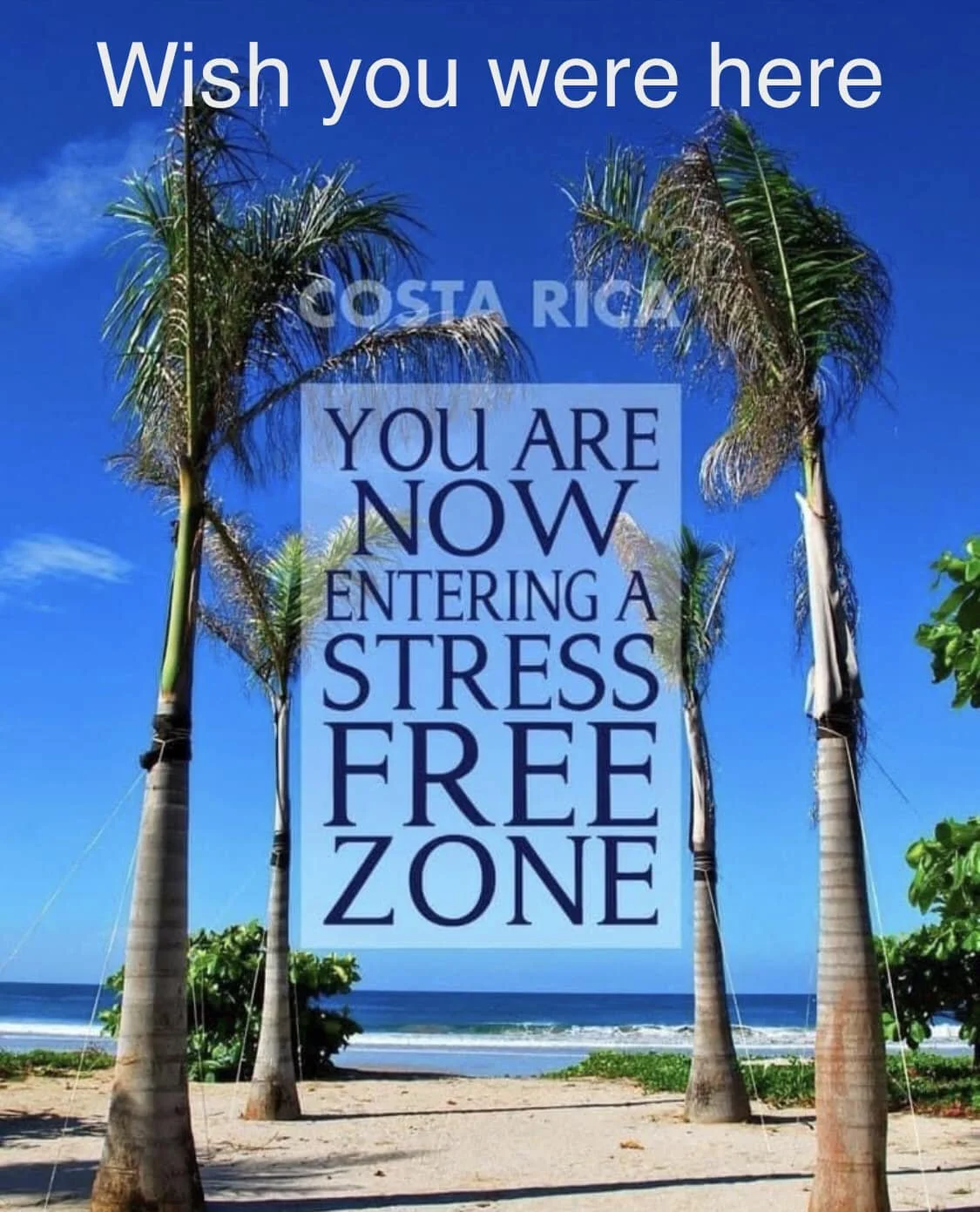 bodo1 wish you were here.jpg