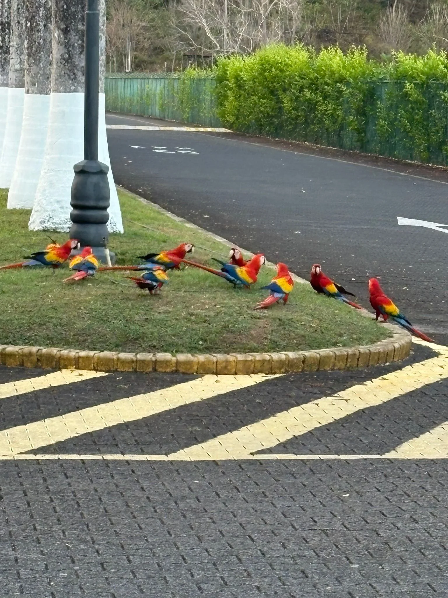 Photo by Patti Comeau