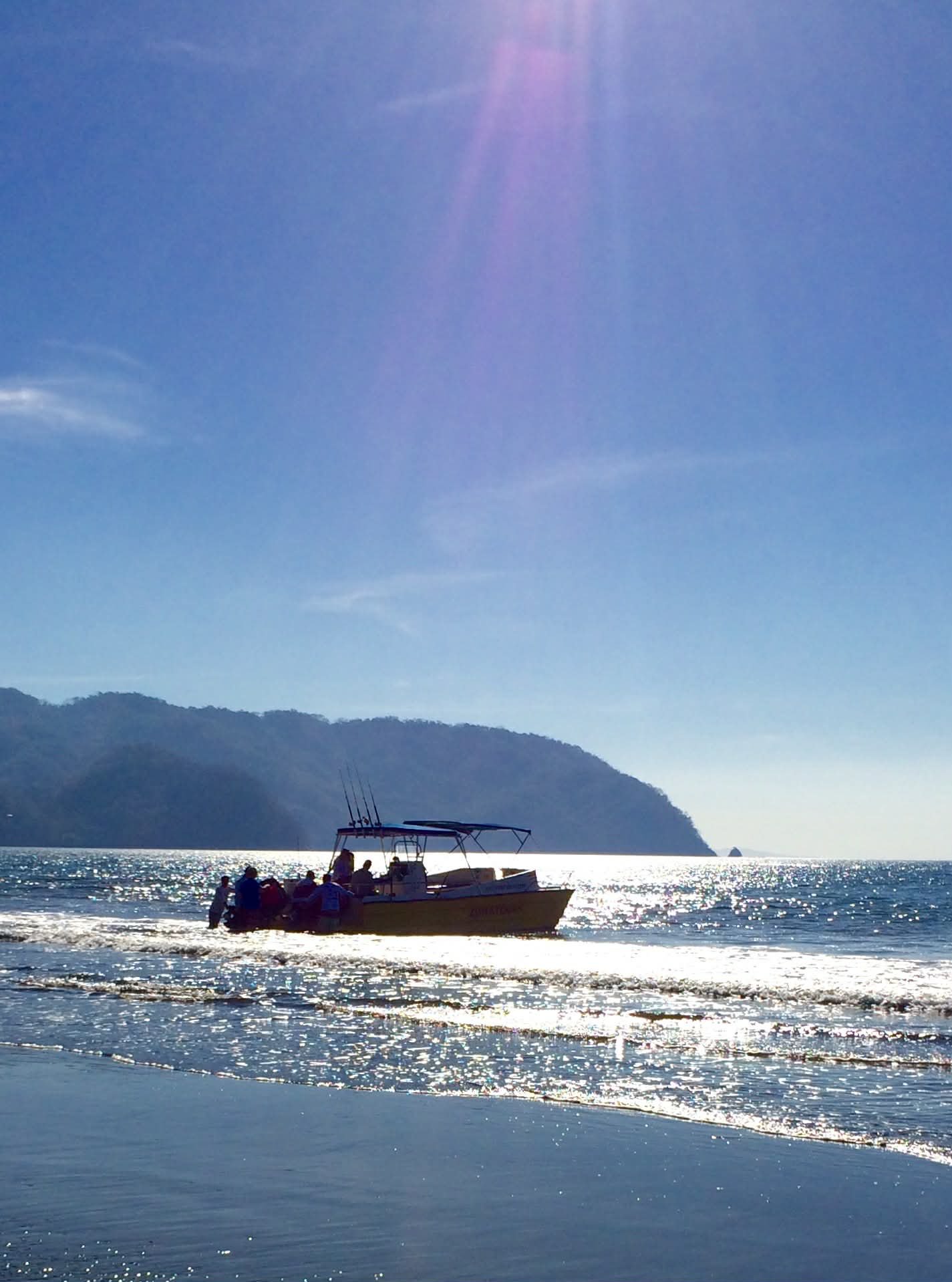 Photo by Paul Gardner