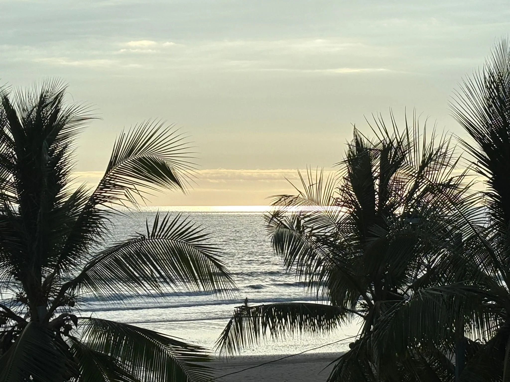 Photo by Patti Comeau