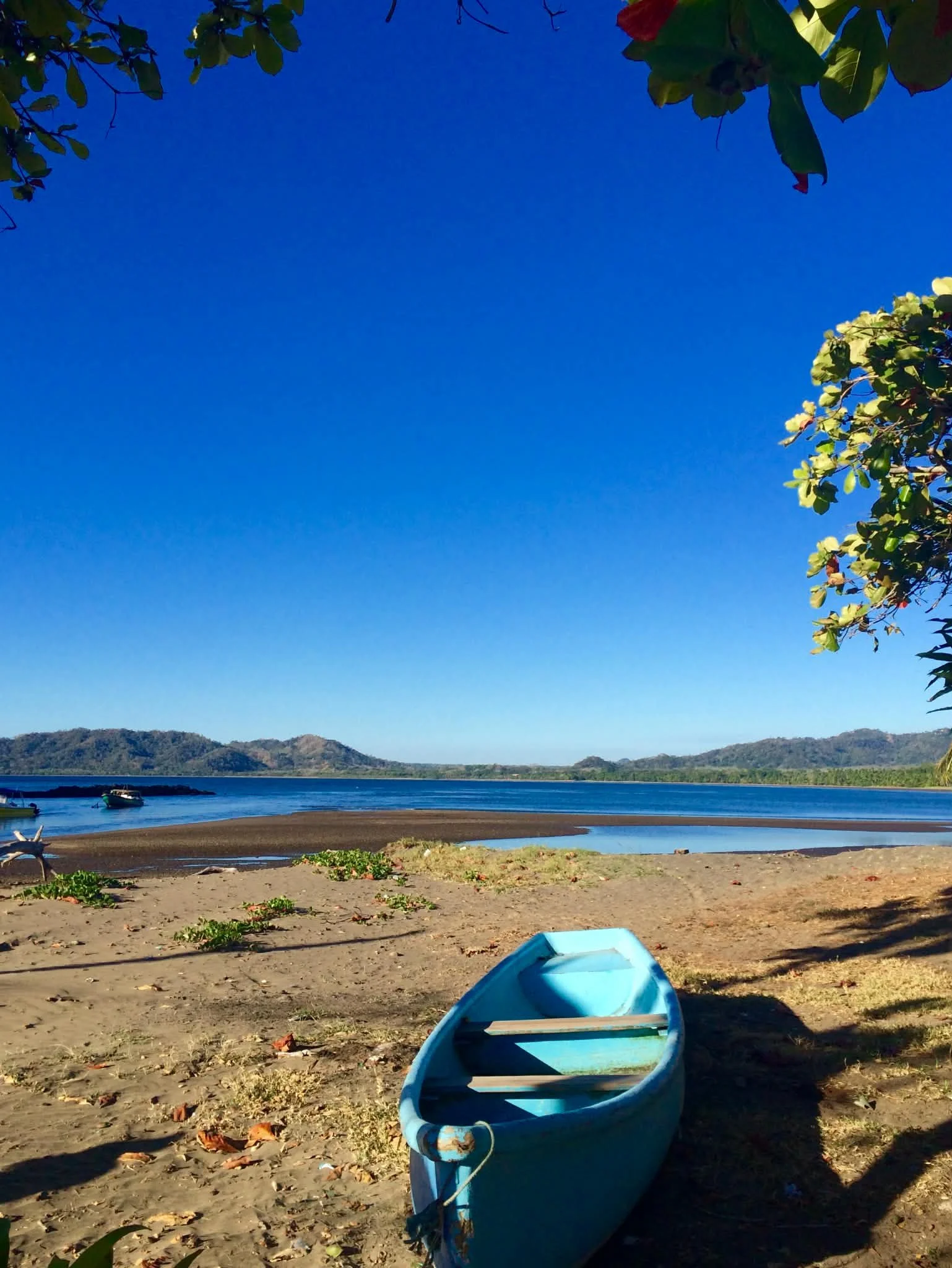 Photo by Paul Gardner