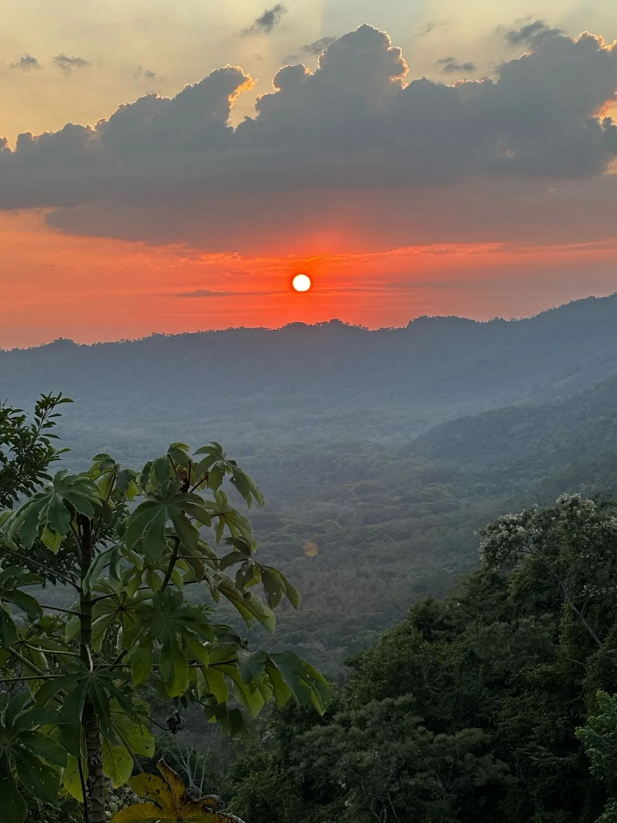 Photo by Nina Dormond