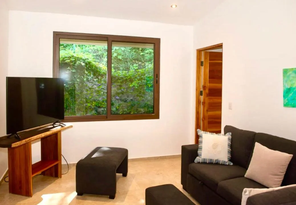 Bodo 1 TV living room.jpg