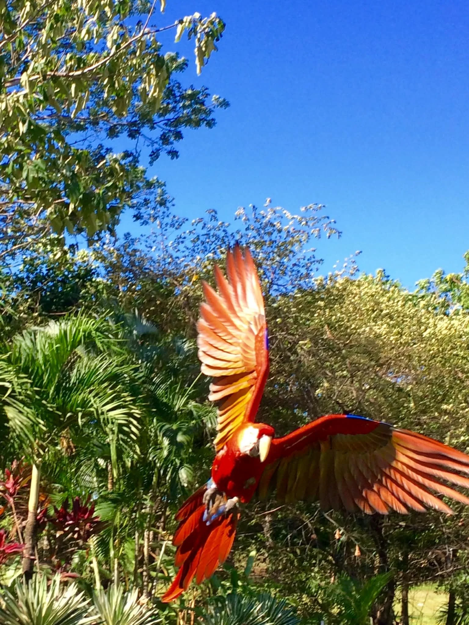 Photo by Paul Gardner