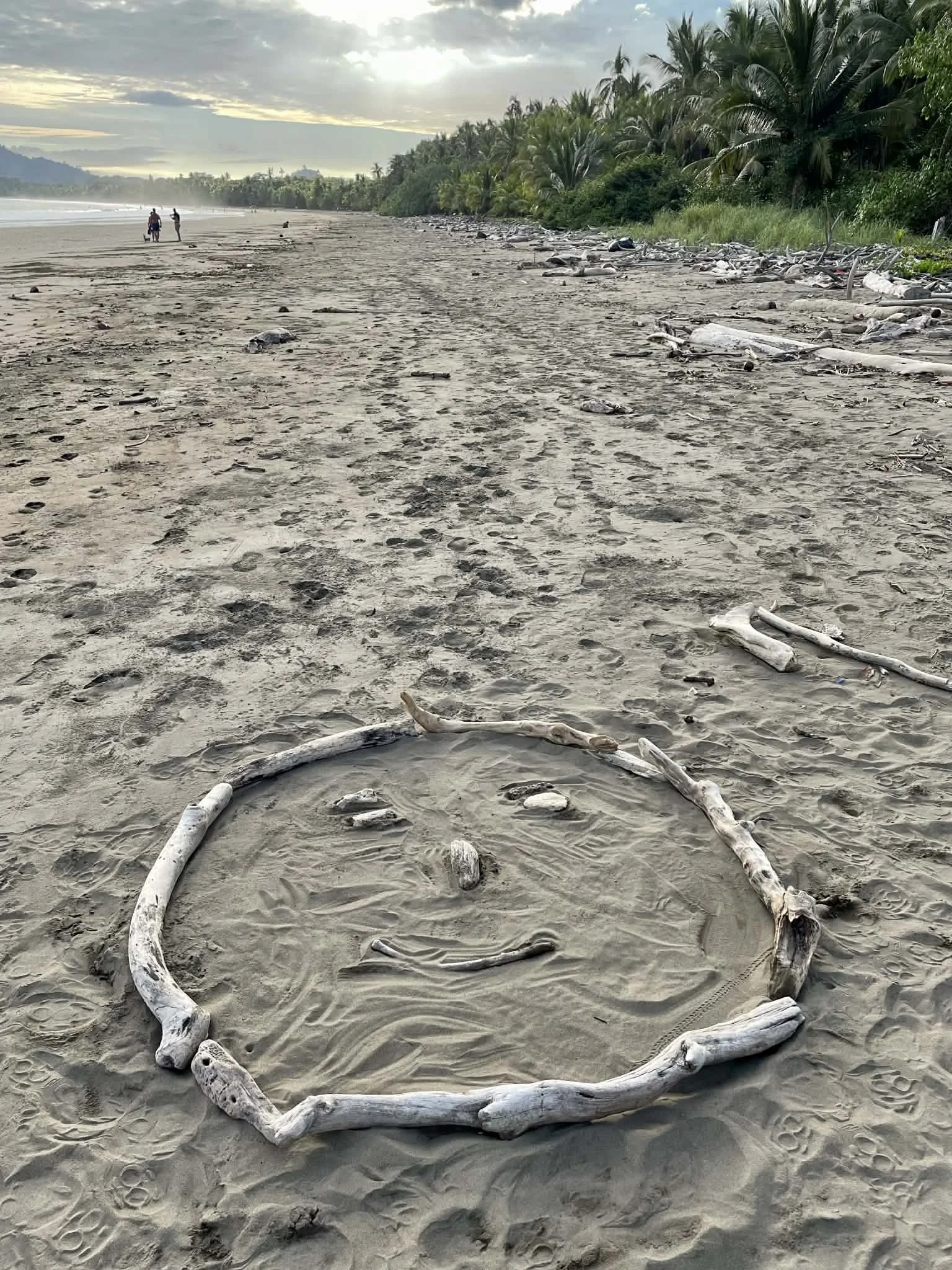 Photo by Paul Gardner