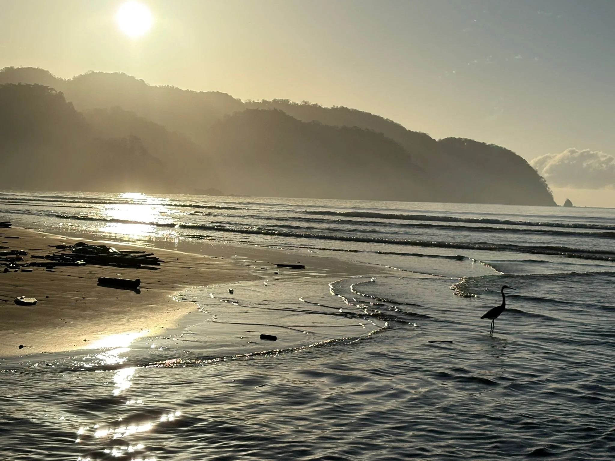 Photo by Patti Comeau