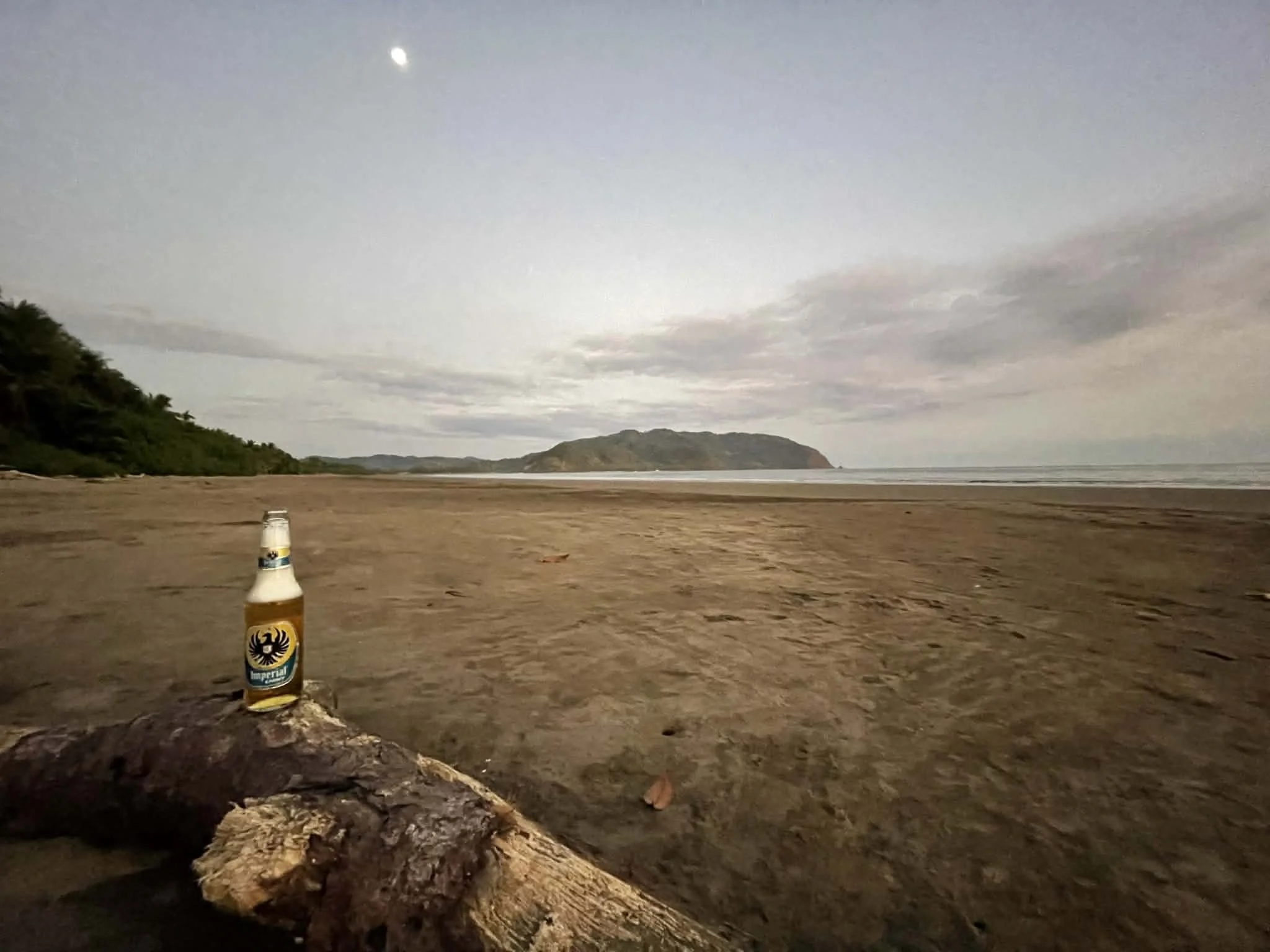 Photo by Paul Gardner