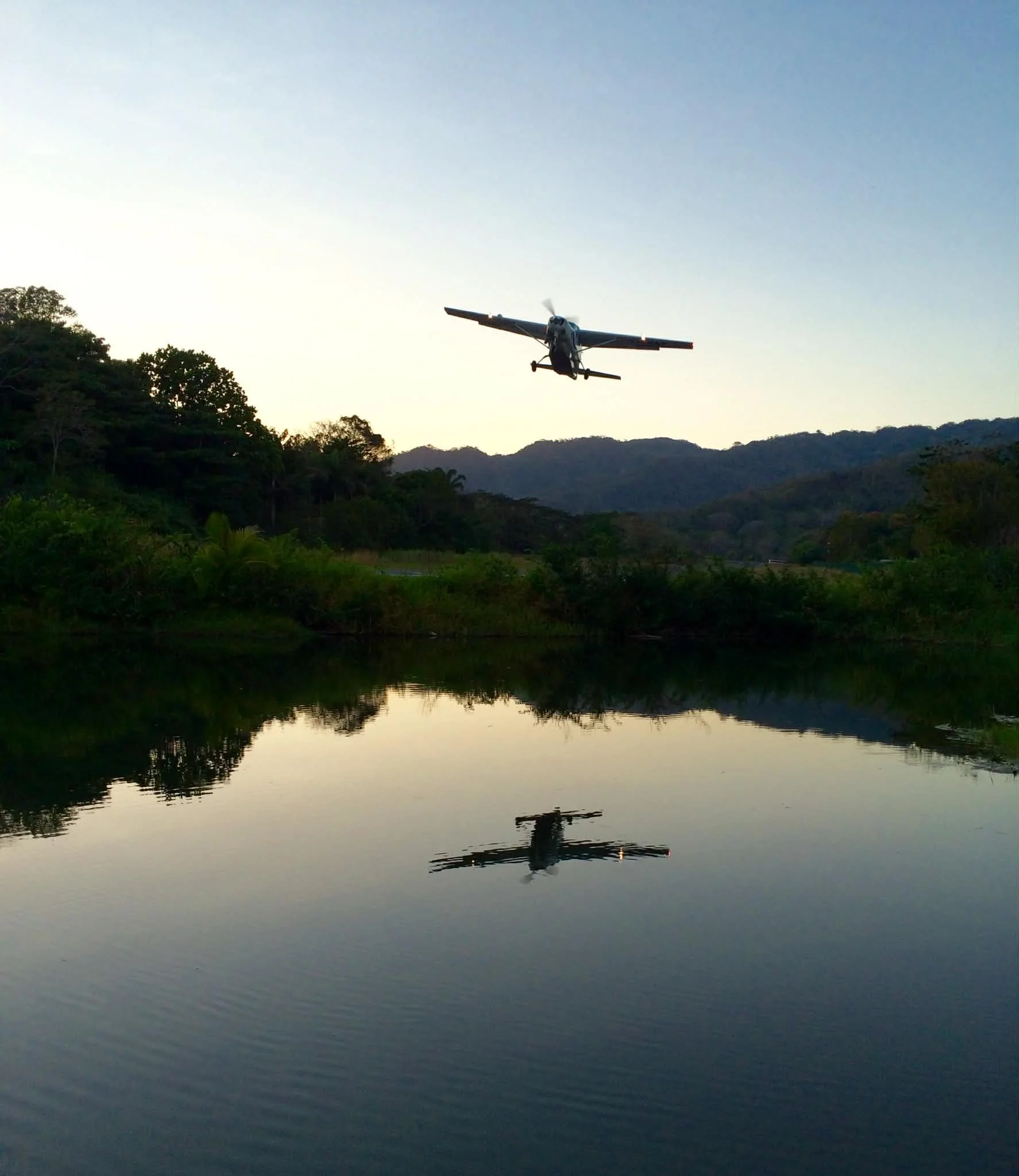 Photo by Paul Gardner