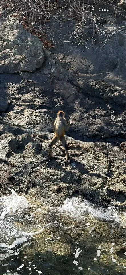 Photo by Nancy Gowan