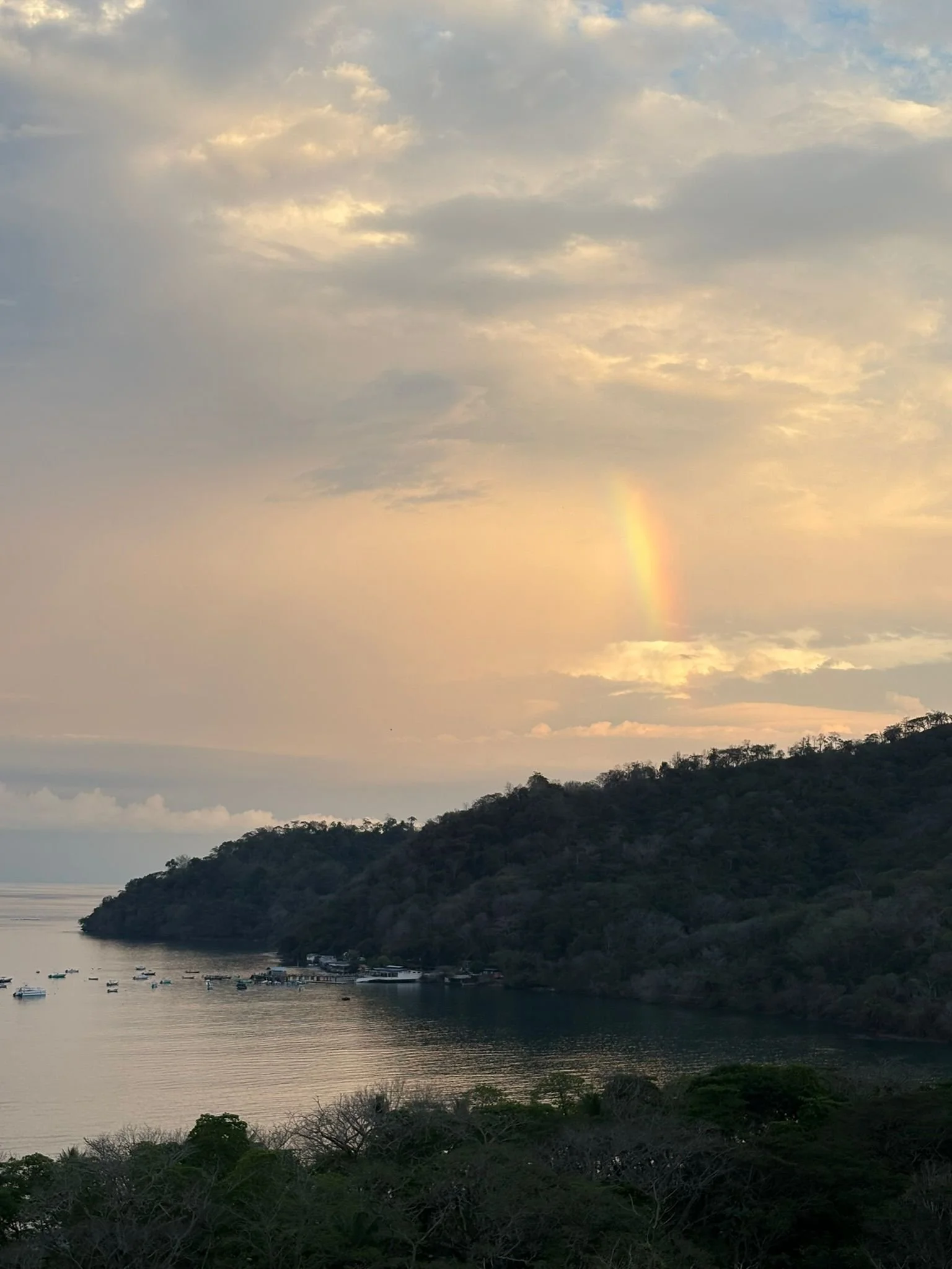 Photo by Patti Comeau