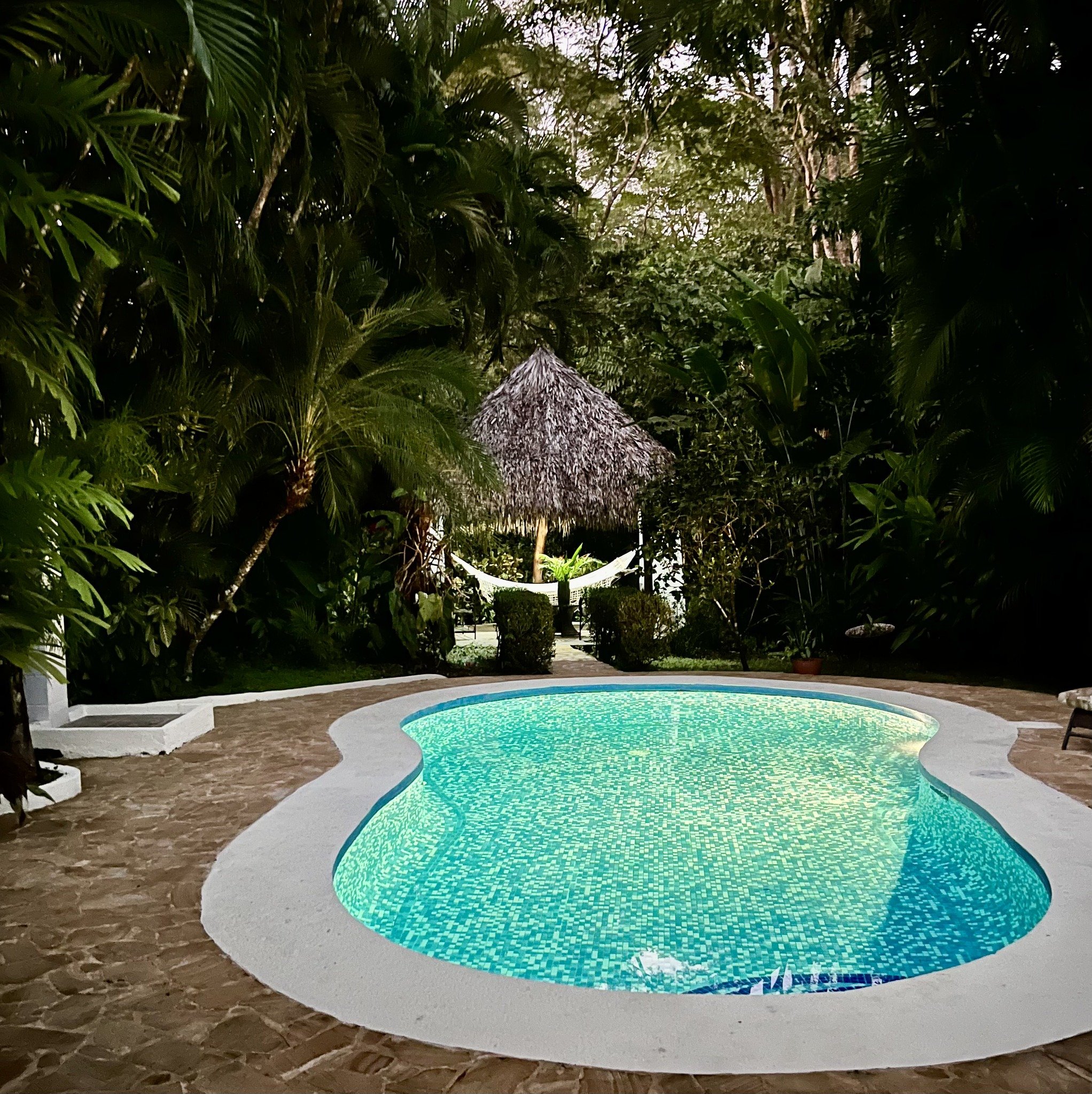 pool hammock.jpg