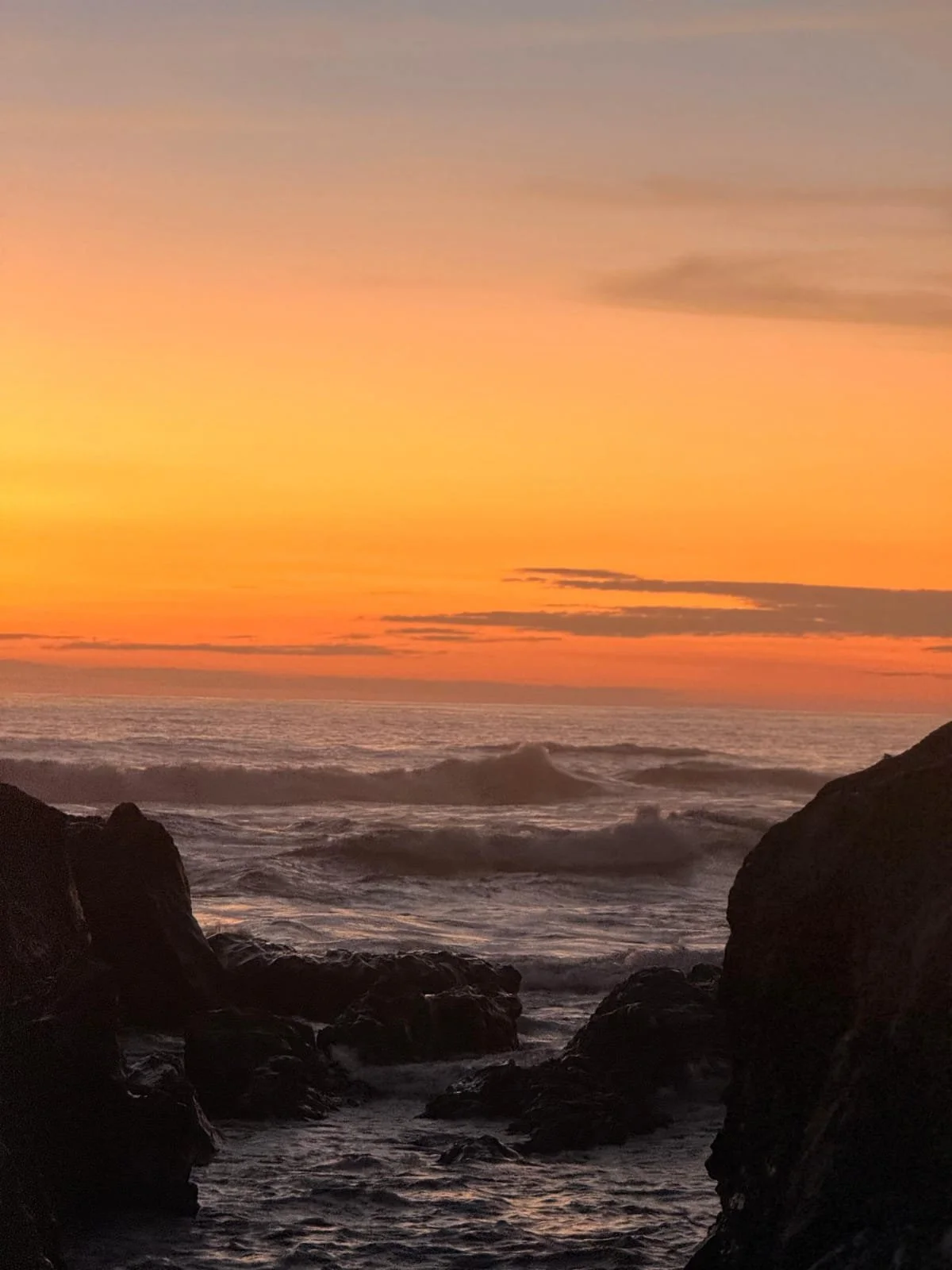 Photo by Nina Dormond