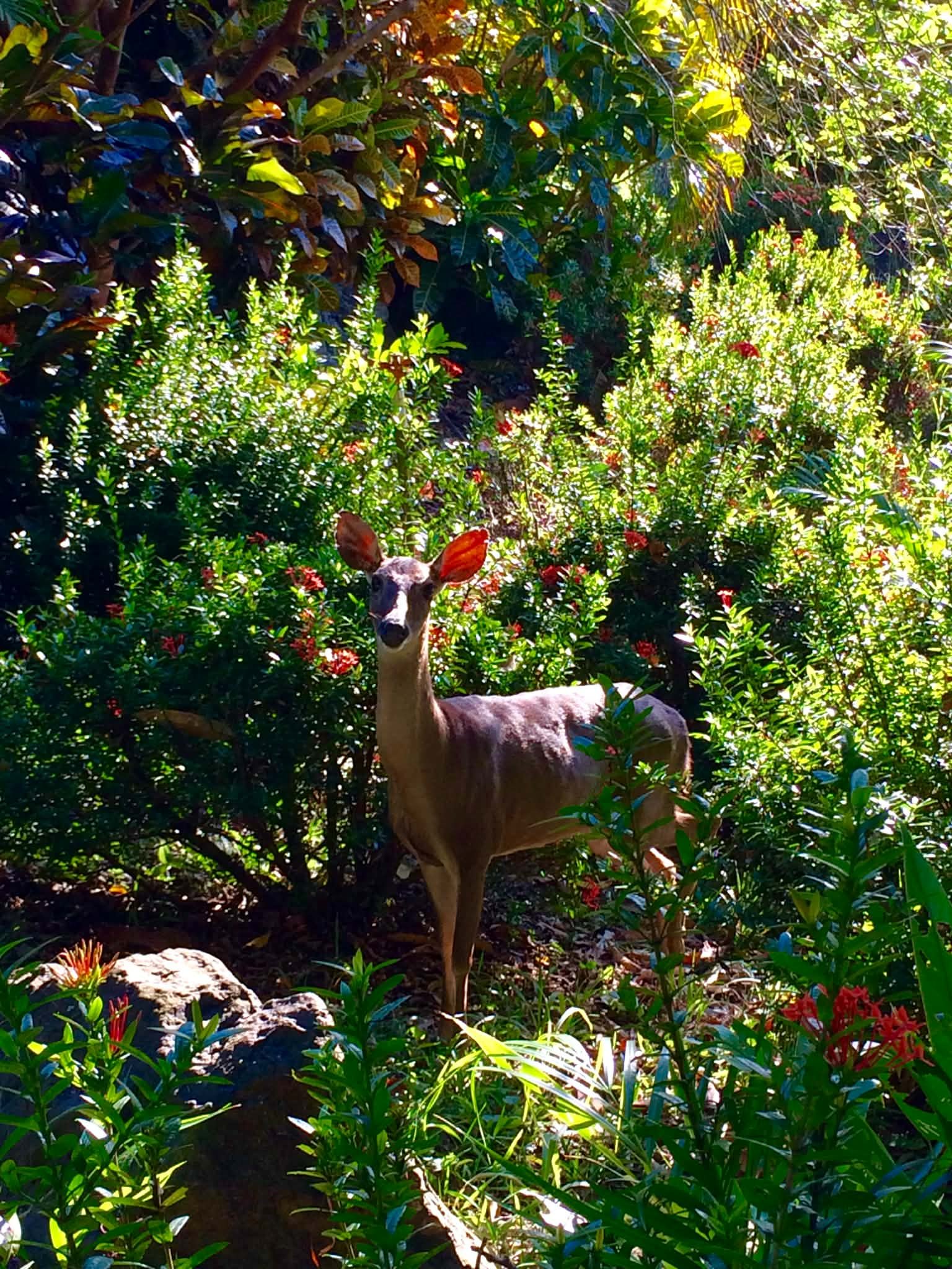 Photo by Paul Gardner