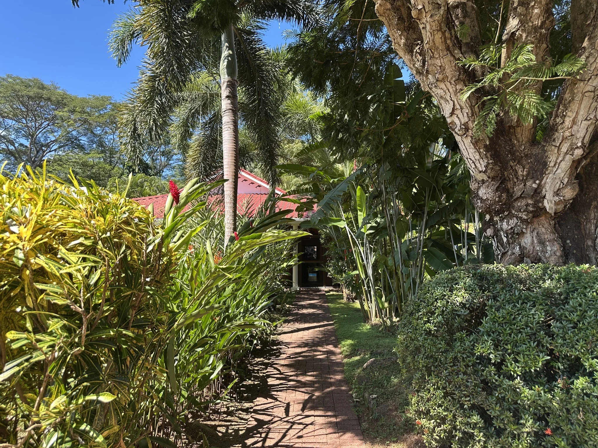 house front.jpg