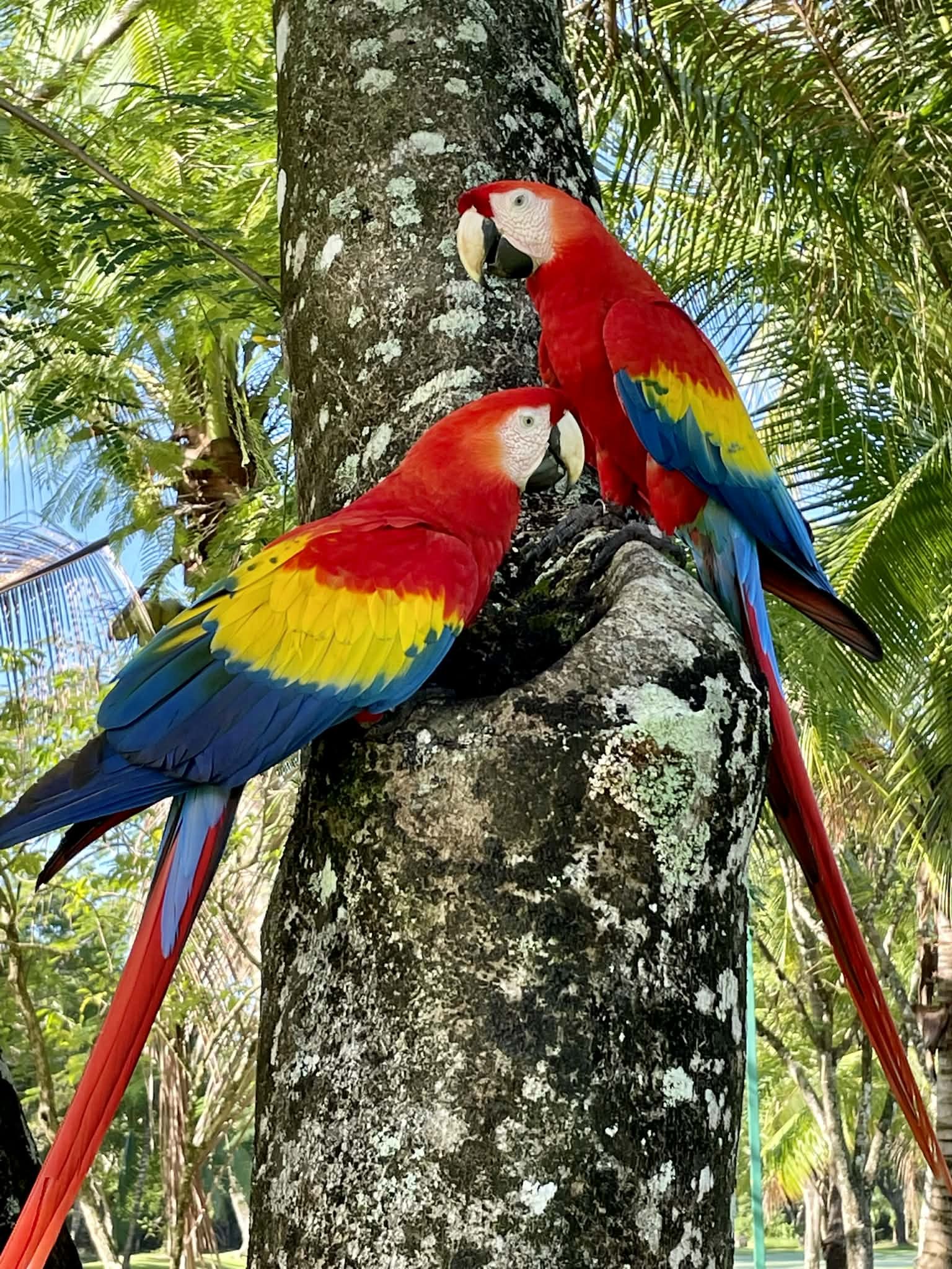 Photo by Paul Gardner